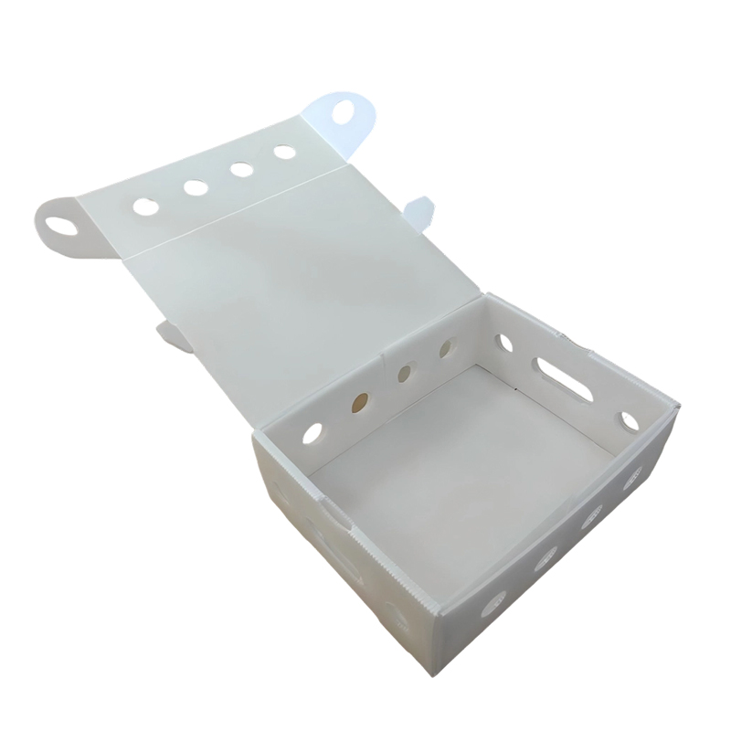 Stablebar ventilert PP hule ark emballasjeboks